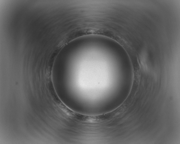 X0000082930657200702081542