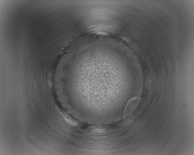 X0000082930658200702081542