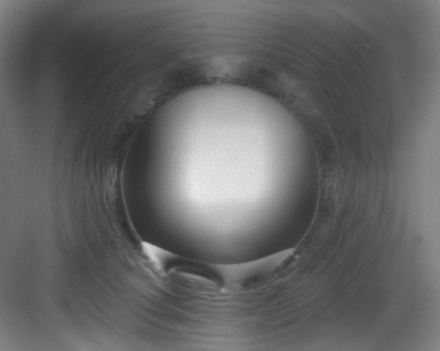 X0000082930660200702081542