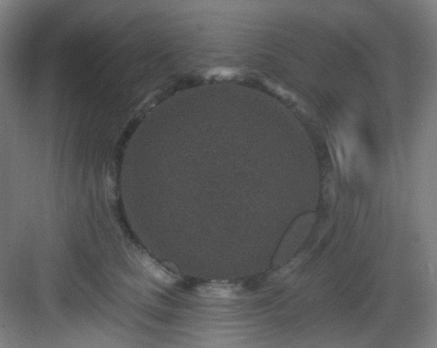 X0000082930661200702081542