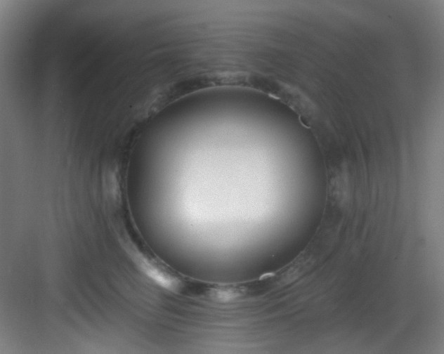 X0000082930662200702081542