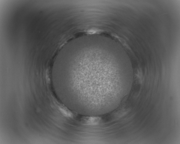 X0000082930663200702081542