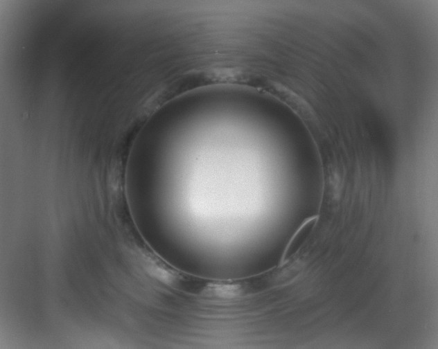 X0000082930665200702081542