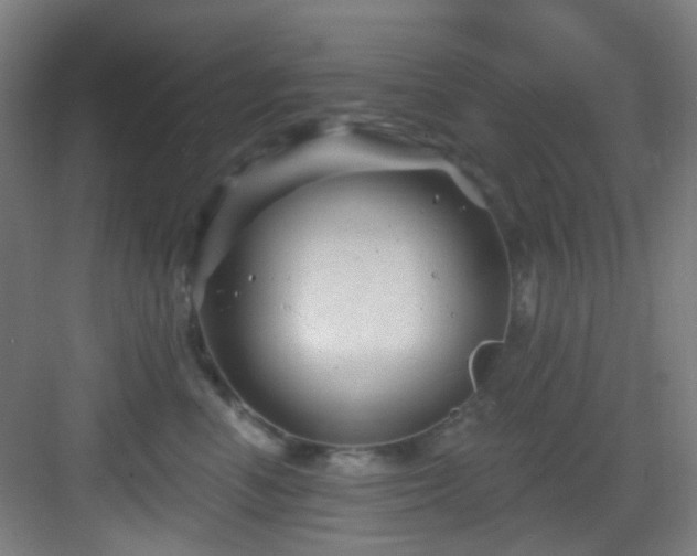 X0000082930666200702081542