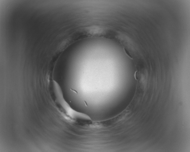 X0000082930668200702081542