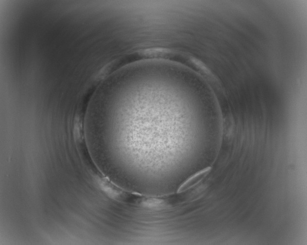 X0000082930669200702081542