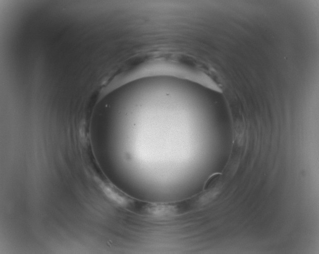 X0000082930670200702081542