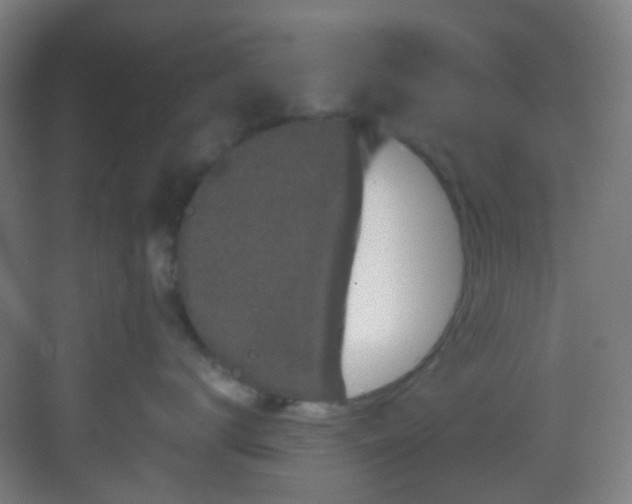 X0000082930672200702081542