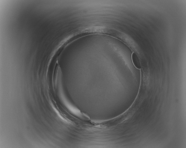 X0000082930674200702081541