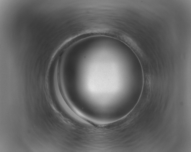 X0000082930676200702081541