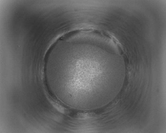 X0000082930679200702081541