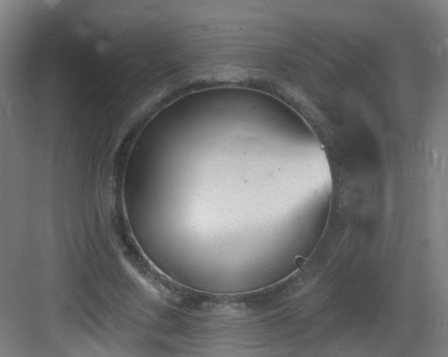 X0000082930683200702081541