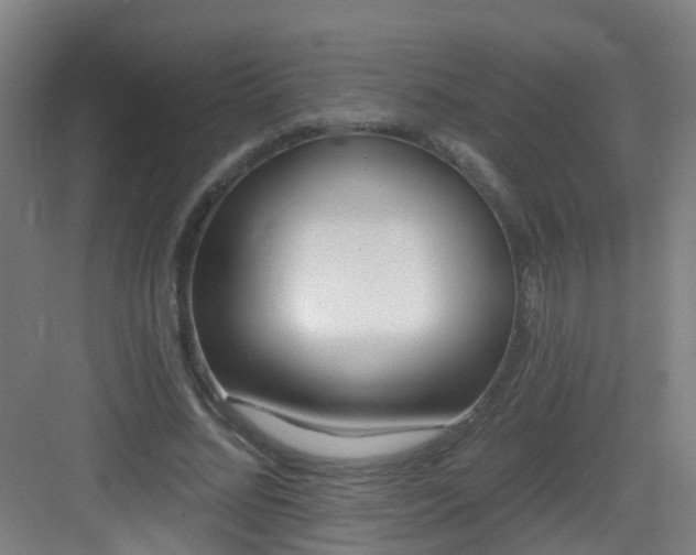 X0000082930684200702081541