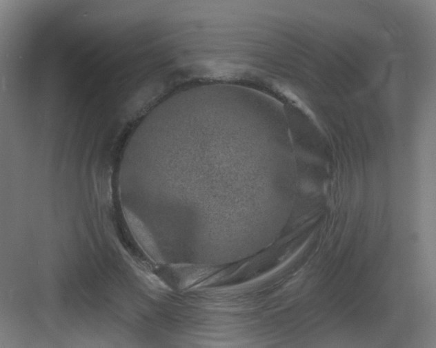 X0000082930685200702081541