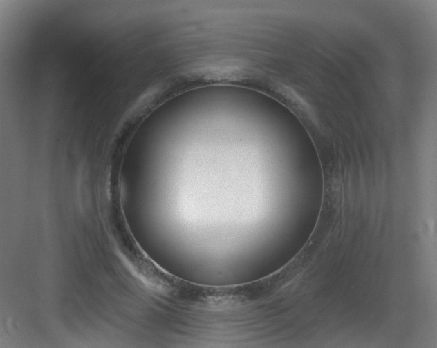 X0000082930686200702081541