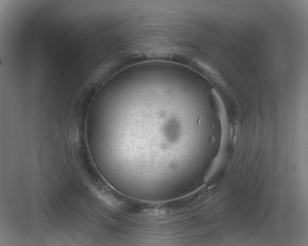 X0000082930687200702081541