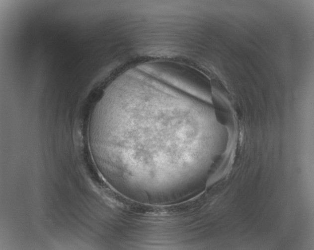 X0000082930688200702081541