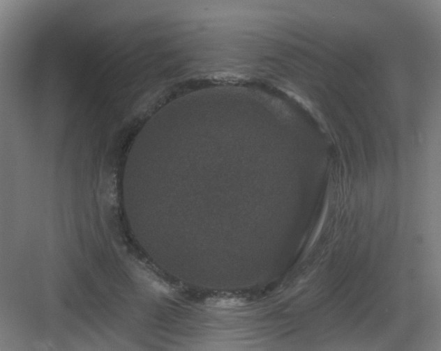 X0000082930689200702081541