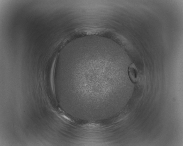 X0000082930691200702081541