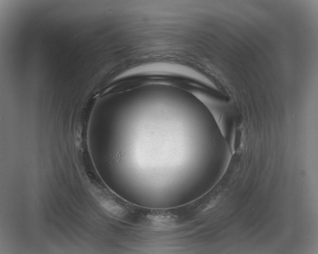 X0000082930693200702081541