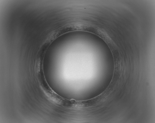 X0000082930694200702081541