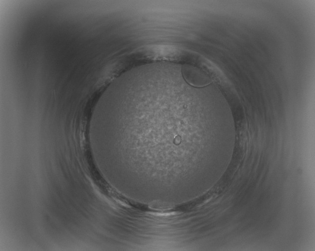 X0000082930695200702081541