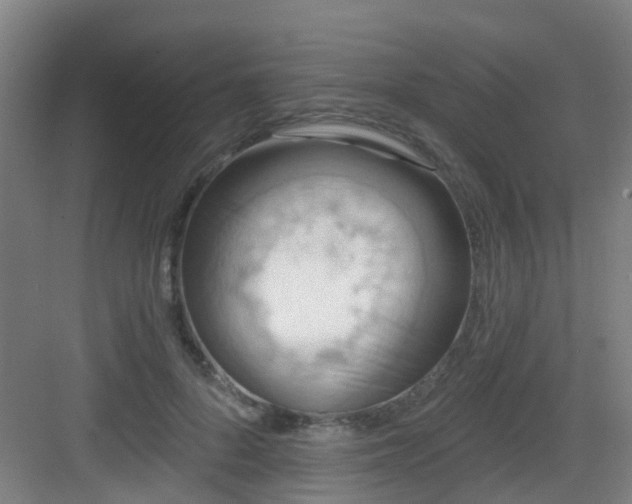 X0000082930696200702081541