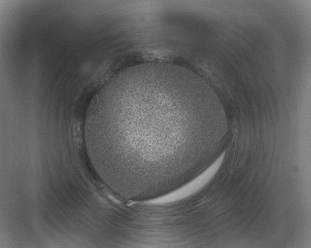 X0000082930699200702081541