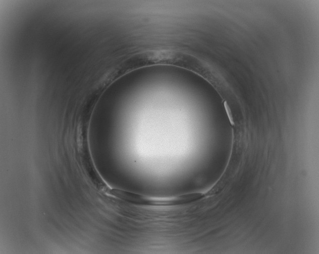 X0000082930700200702081541