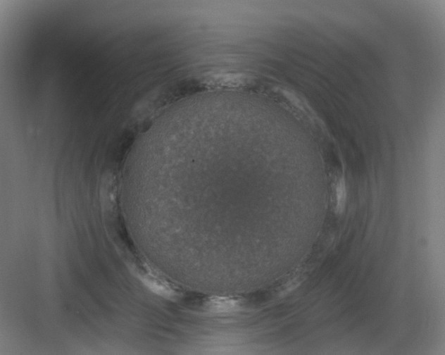 X0000082930701200702081541