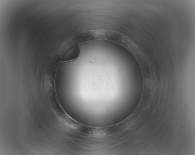 X0000082930702200702081541