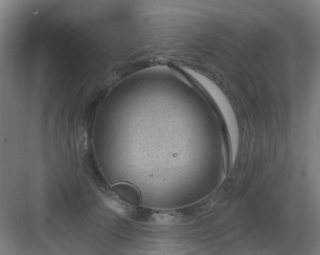 X0000082930703200702081541