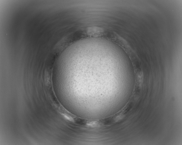 X0000082930705200702081541