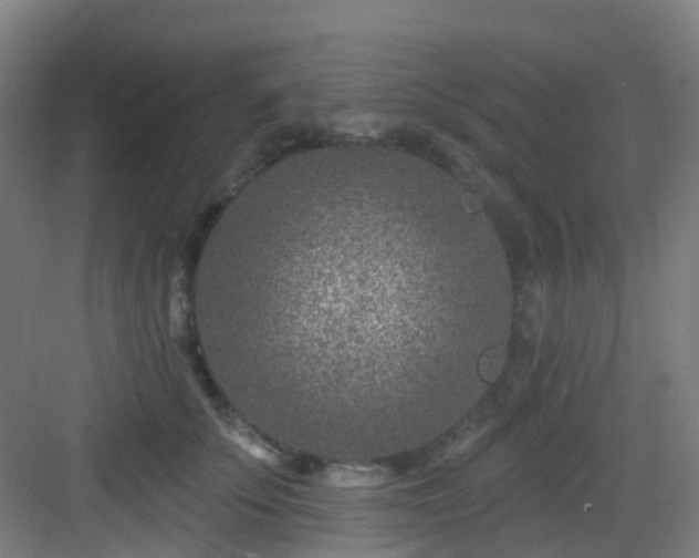 X0000082930707200702081541