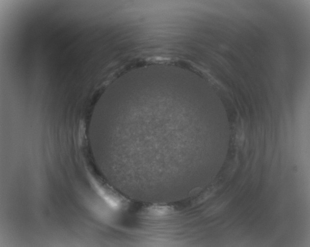 X0000082930711200702081541