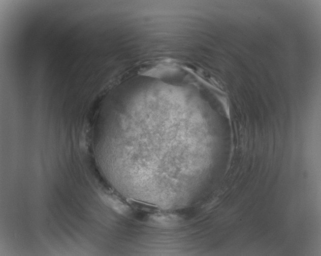 X0000082930712200702081541