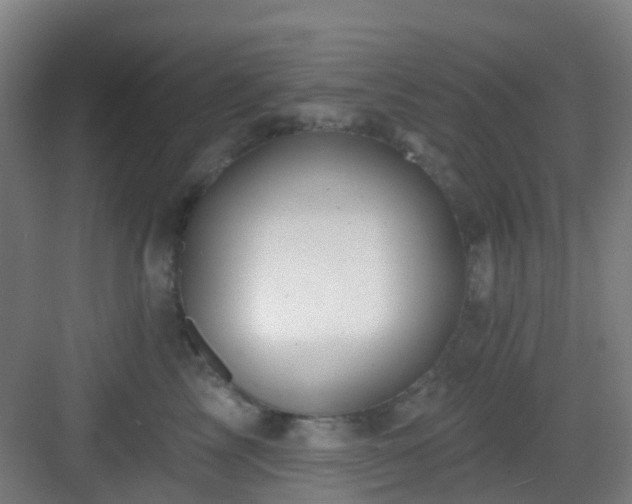 X0000082930713200702081541