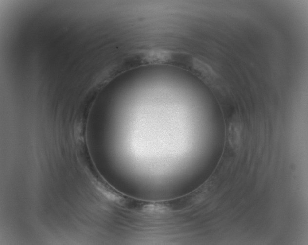 X0000082930714200702081541