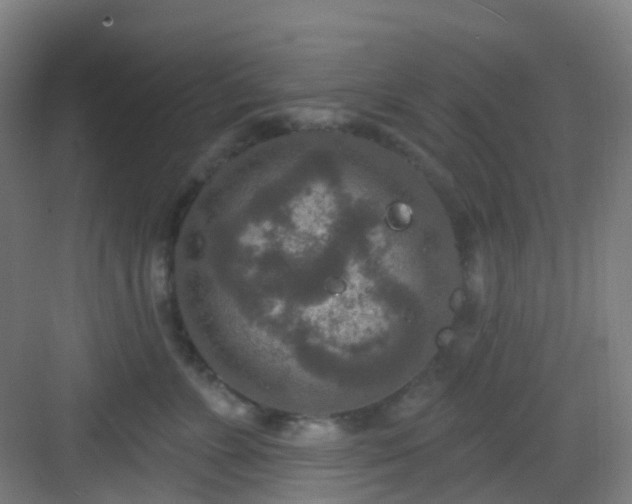 X0000082930715200702081541