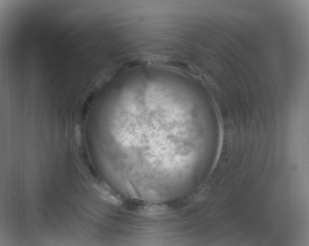 X0000082930716200702081541