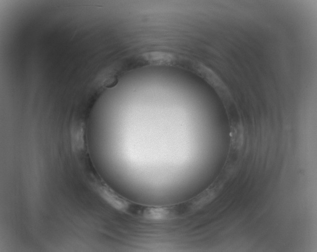 X0000082930717200702081541