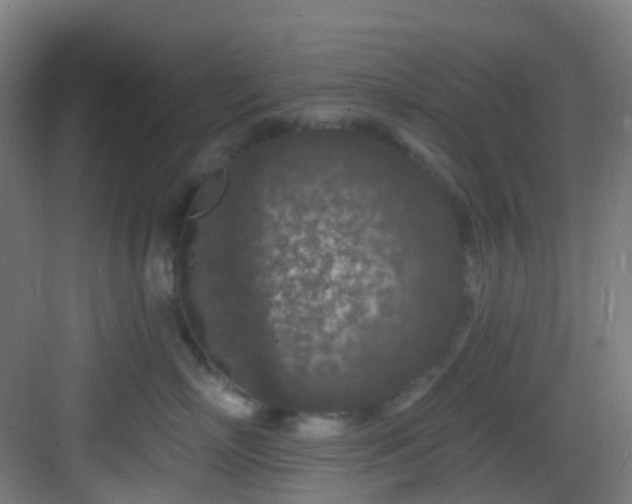 X0000082930718200702081541