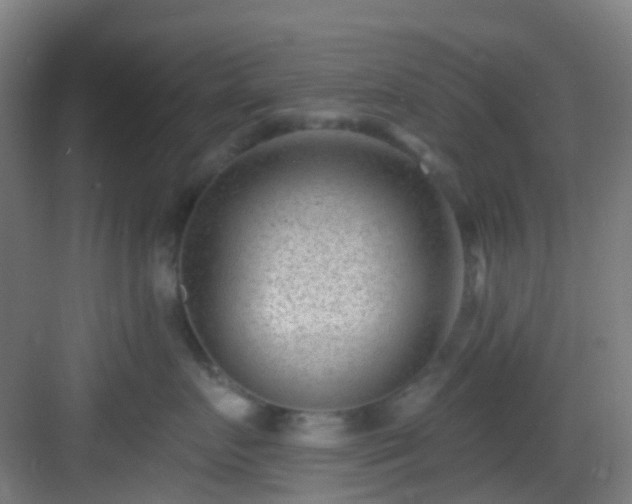 X0000082930719200702081541