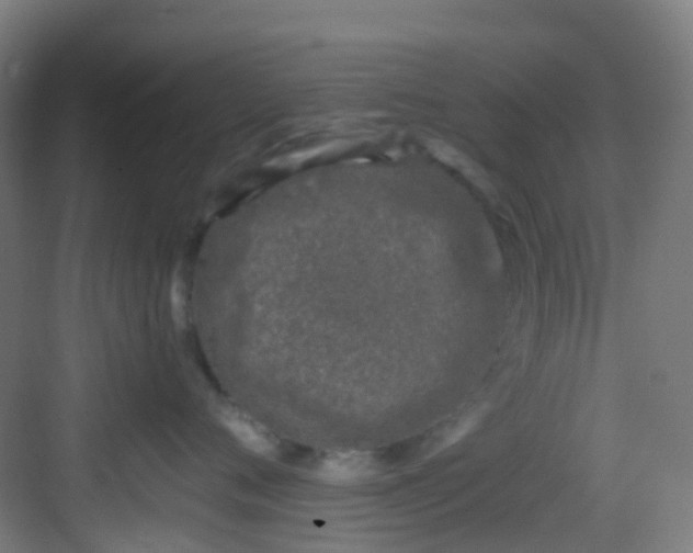 X0000082930720200702081541