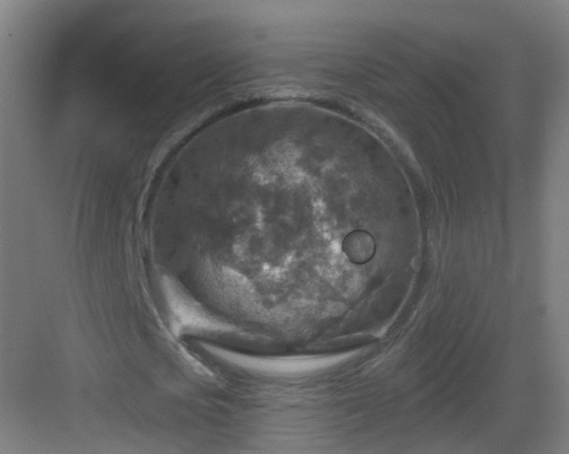 X0000082930721200702081540