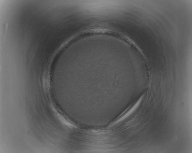 X0000082930722200702081540