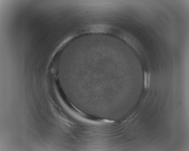 X0000082930723200702081540