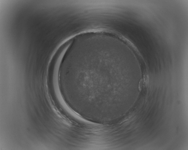 X0000082930724200702081540