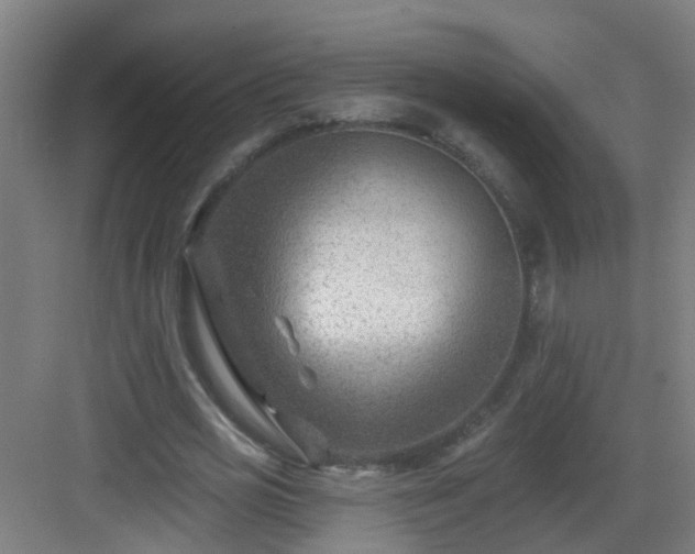 X0000082930725200702081540