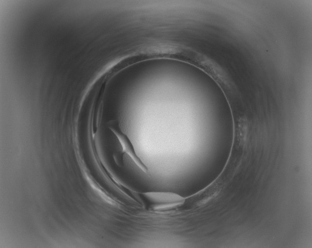 X0000082930726200702081540